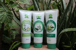 productos naturales para salud chikach